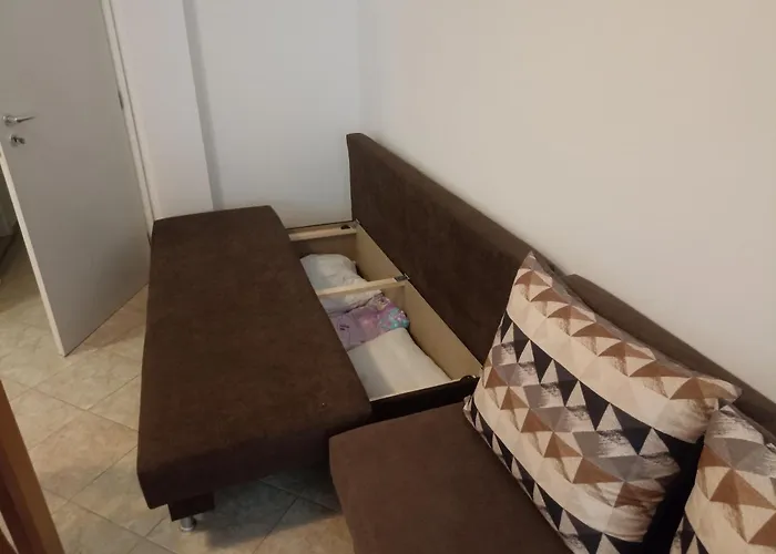 Silversprings Lucie *